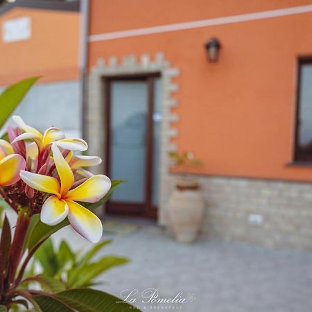 La Pomelia B&B Sofia Trappitello Extérieur photo