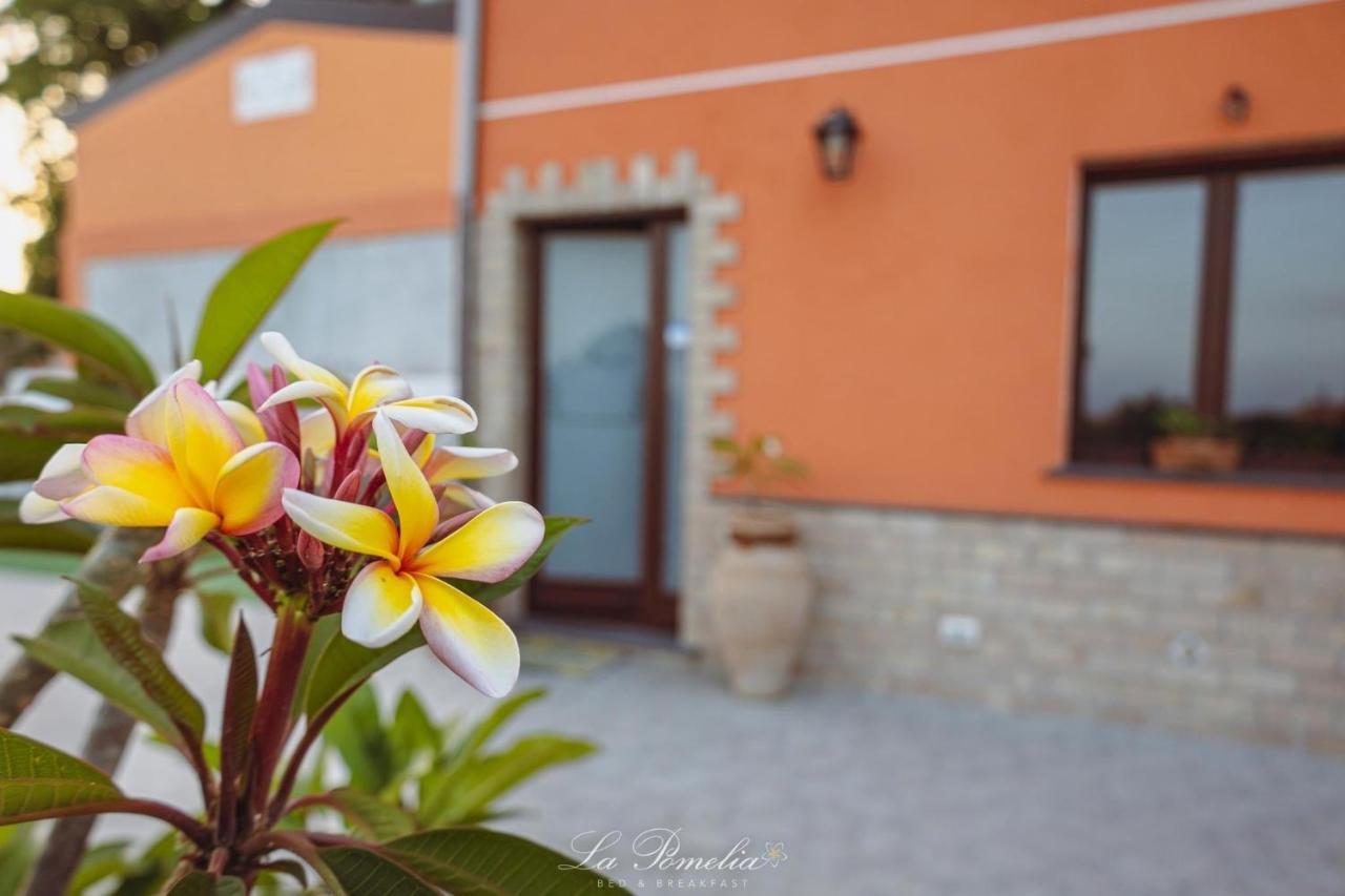 La Pomelia B&B Sofia Trappitello Extérieur photo